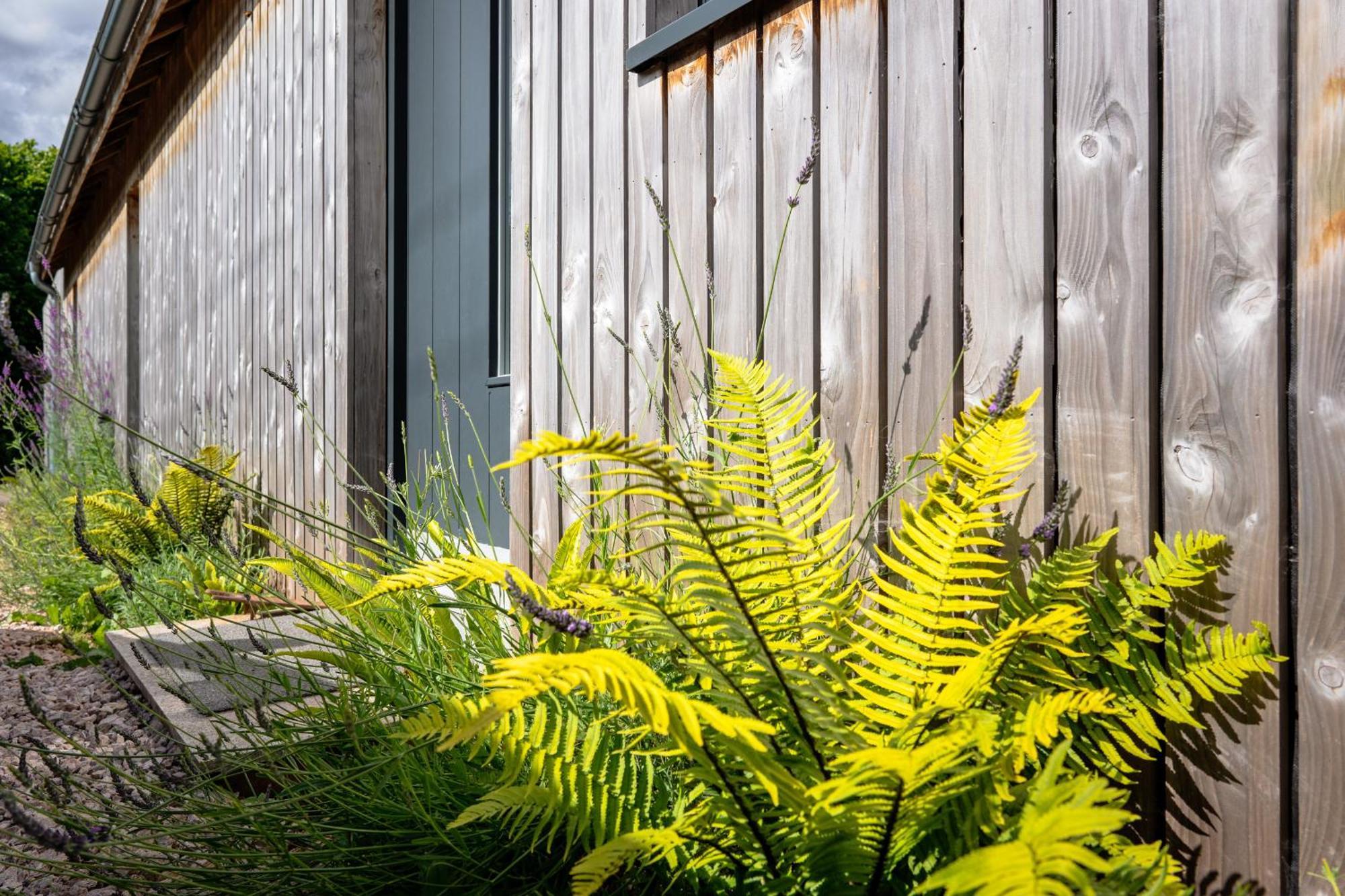 Sunnybrook - A Luxurious Carbon Neutral House Close To Beach, Shaldon Kültér fotó